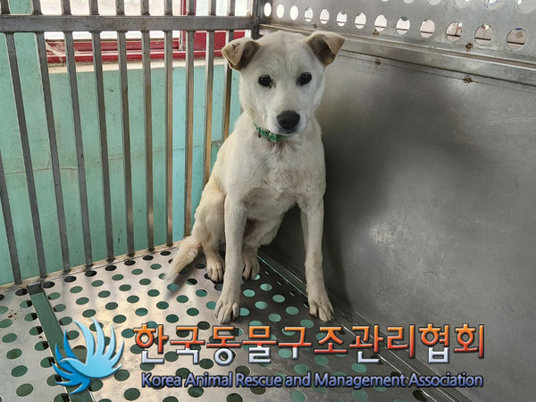 한국동물구조관리협회_441414202300352